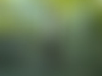 Transform Your Glutes and Thighs with These Effective Exercises