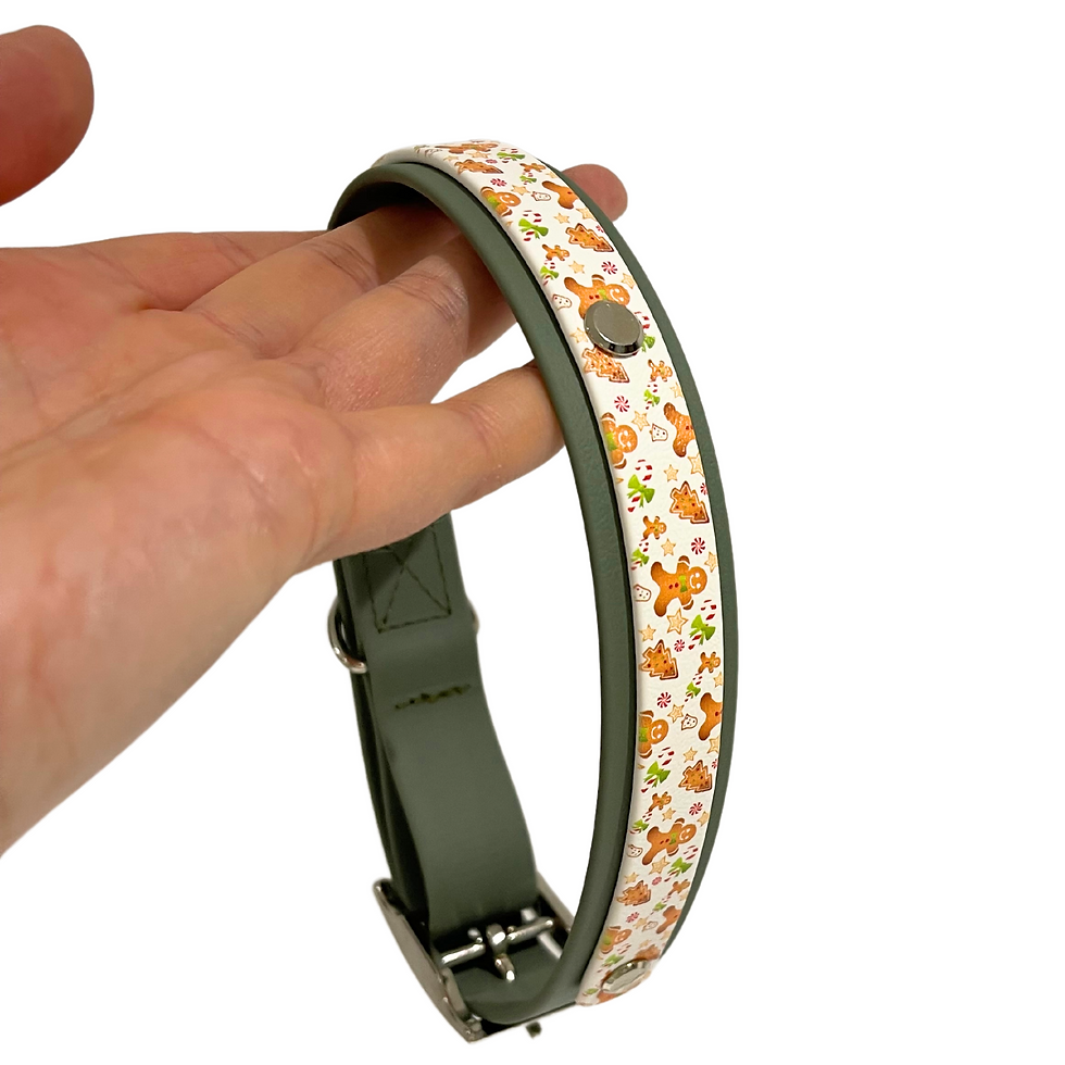 Pikkukuva: Biothane Ginger Bread Collar (White)