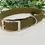 Miniature : Biothane Collar -Olive