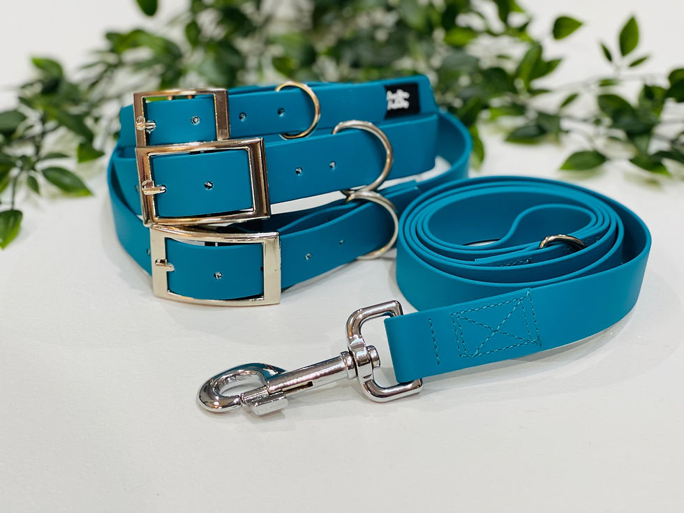 Miniaturebillede: Biothane Collar - Lagoon
