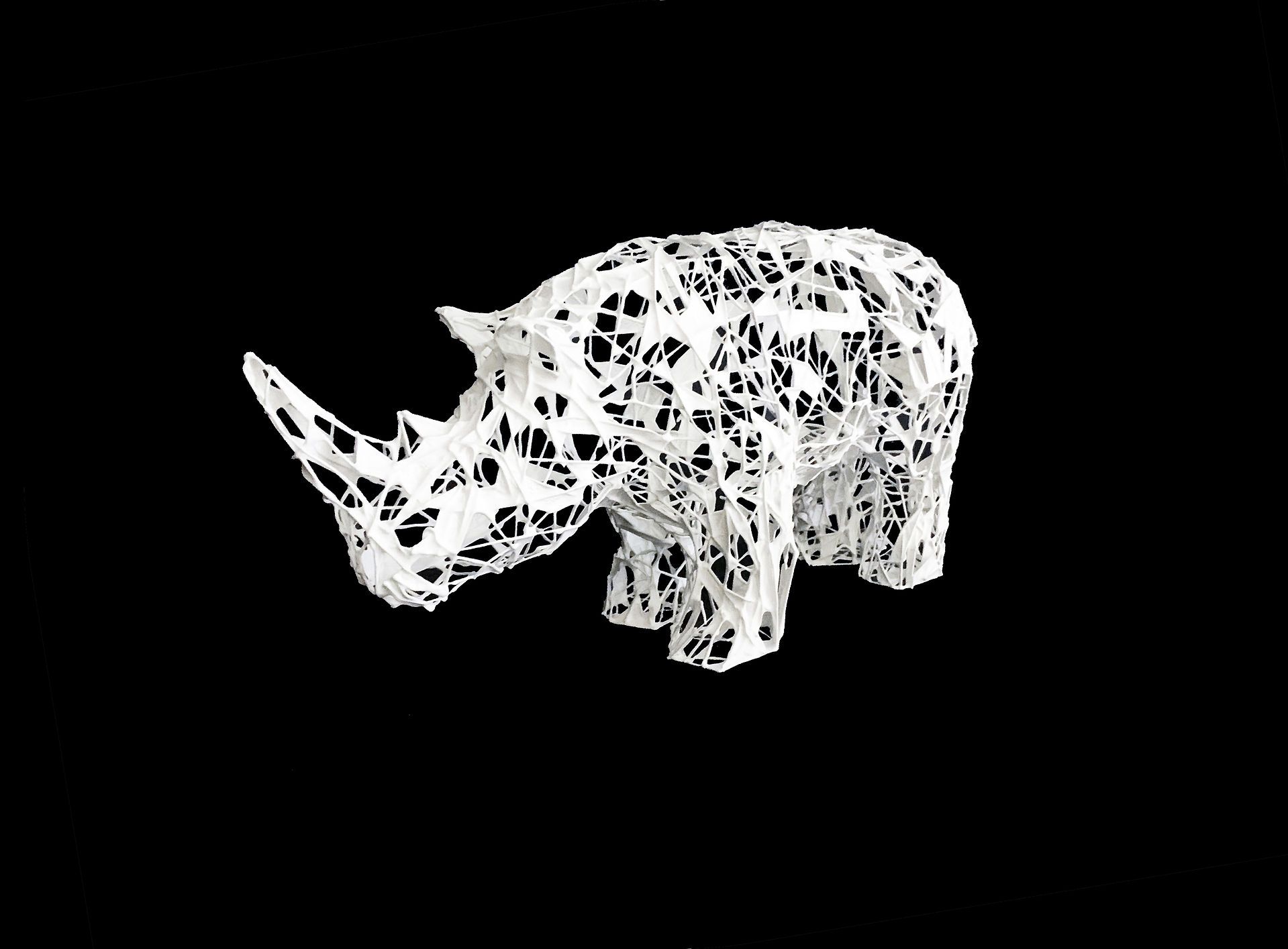 Rhino