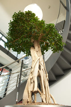 Treppenhaus 1