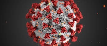 Covid-19: Saturday, August 29