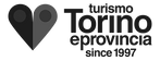 Turin tourism black_edited.png