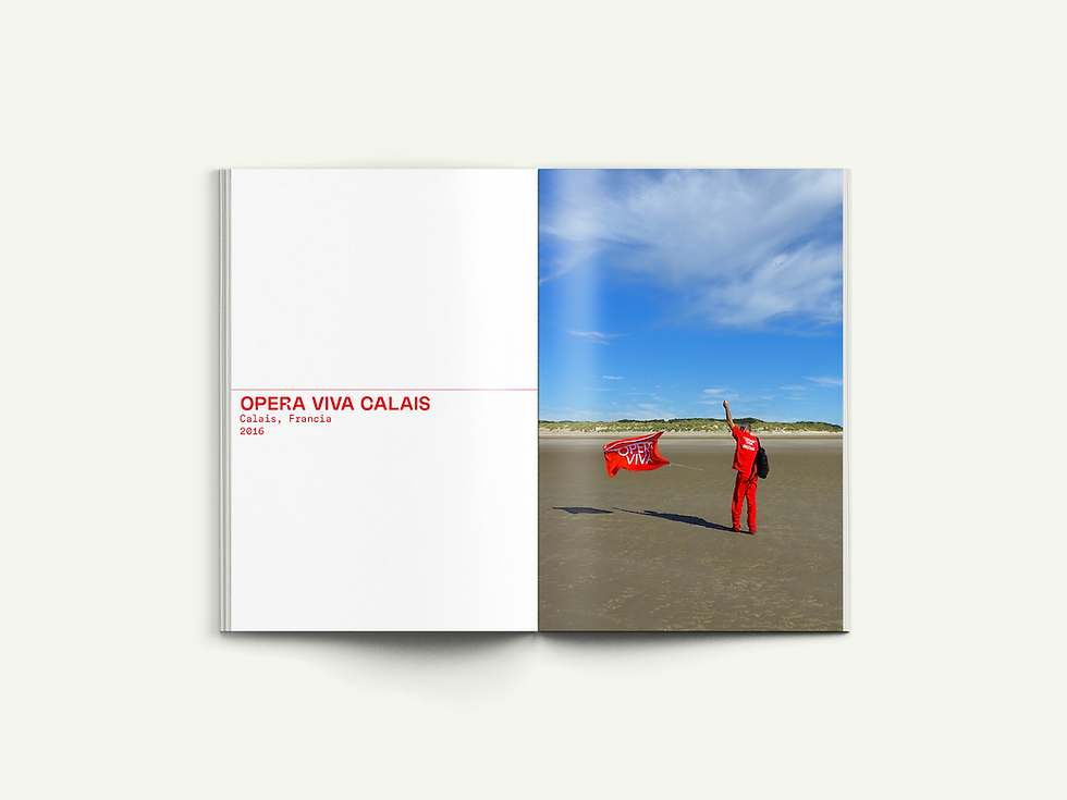 Thumbnail: Alessandro Bulgini, Opera Viva Formulario