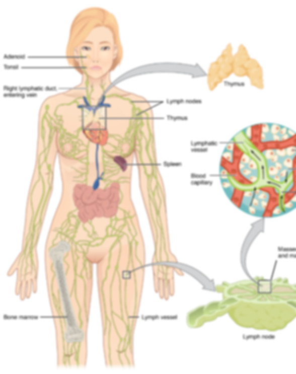 Screen Shot 2023-06-22 at 4.23.55 PM.png