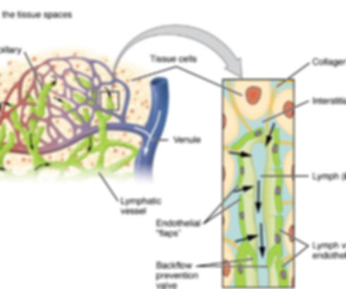 Screen Shot 2023-06-22 at 4.26_edited.jpg