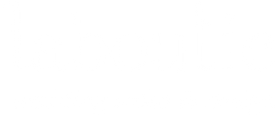 laboutic video boda zaragoza logo.png