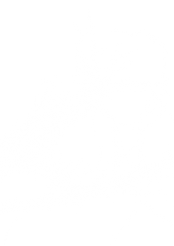 FUNDO___.png