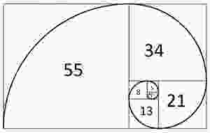 The Fibonacci sequence