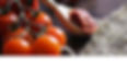 Sun dried Tomatoes blog