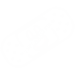 Untitled_Artwork (7).png