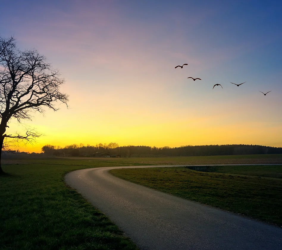 HOME image.webp