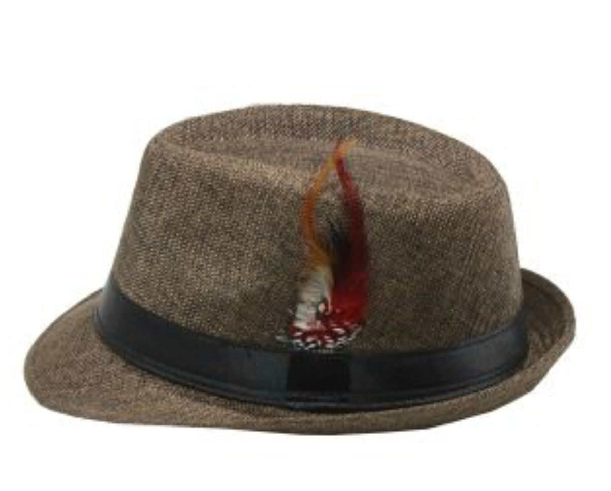Brown Fedora Hat