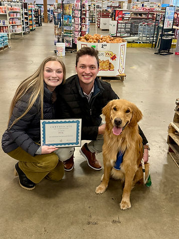 golden-retreiver-puppy-huntsville-alabama