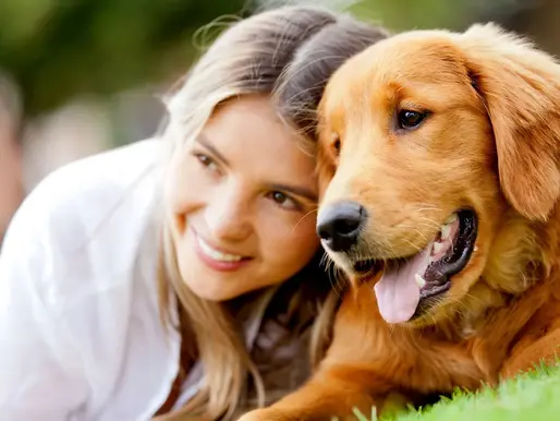 The Benefits of Positive Reinforcement Training