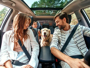 How to Teach Your Dog to Love the Car Ride