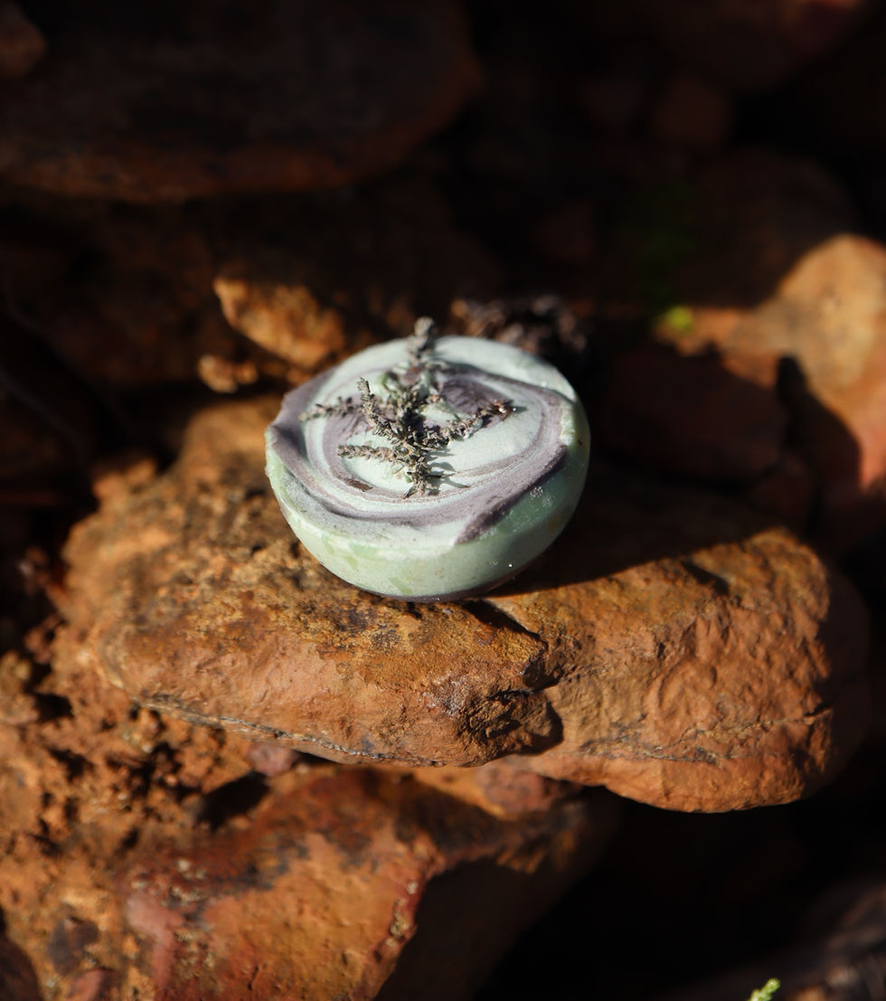 Thumbnail: Renosterveld soaps
