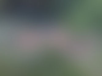 The Tender Dynamics of a Leopard Family in Bandipur Karnataka