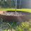 Thumbnail: Corten Garden Rings