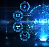 onlineaudit.webp