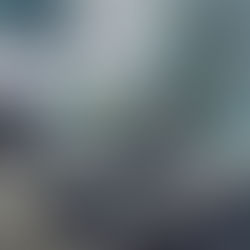 Unleashing the Full Potential of Wix Website Design