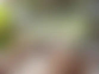 Giga Summer : 2ème édition 🇫🇷