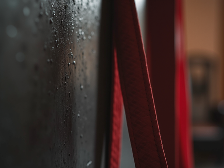 Martial coaching programs: strength and mental resilience