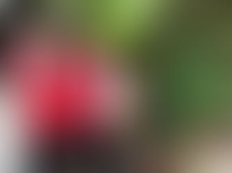 【夏のオシャレに〜クロマー〜】