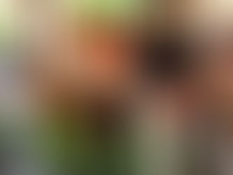 【インターン生のなぎさからみなさんへ】