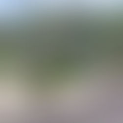 [2025 12/14 In front of the store]