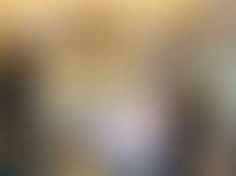 【ニューフェイス】