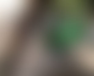 【ハンモックで寝てる赤ちゃん】