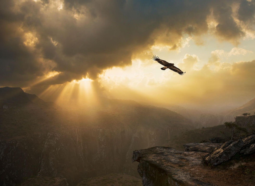 jWig-J8_eTwl-WGbSI6DDa9NwIhT2edLYEd5IHX_el3tVTC9O3C-GlGOs1NNxHAp9V0S4U1_BSd7ZeImVchLZXbc9h