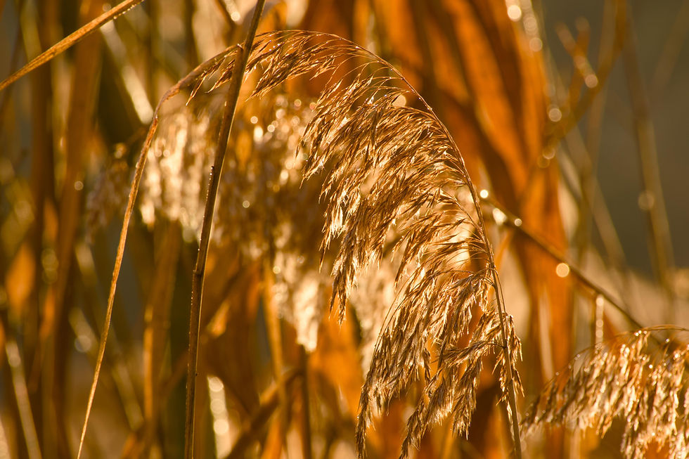 4mDo9XDkUVr-crnr51J5UcPEElubfLkf0FDk0NrwoMLVsIuy-_cjhR2H44QfVbmjqJ_6TgdfveRHB36pY2orpZzSez