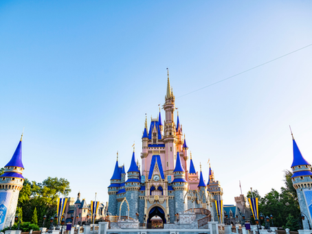Vertigo Meets Disney Parks — Magic Kingdom
