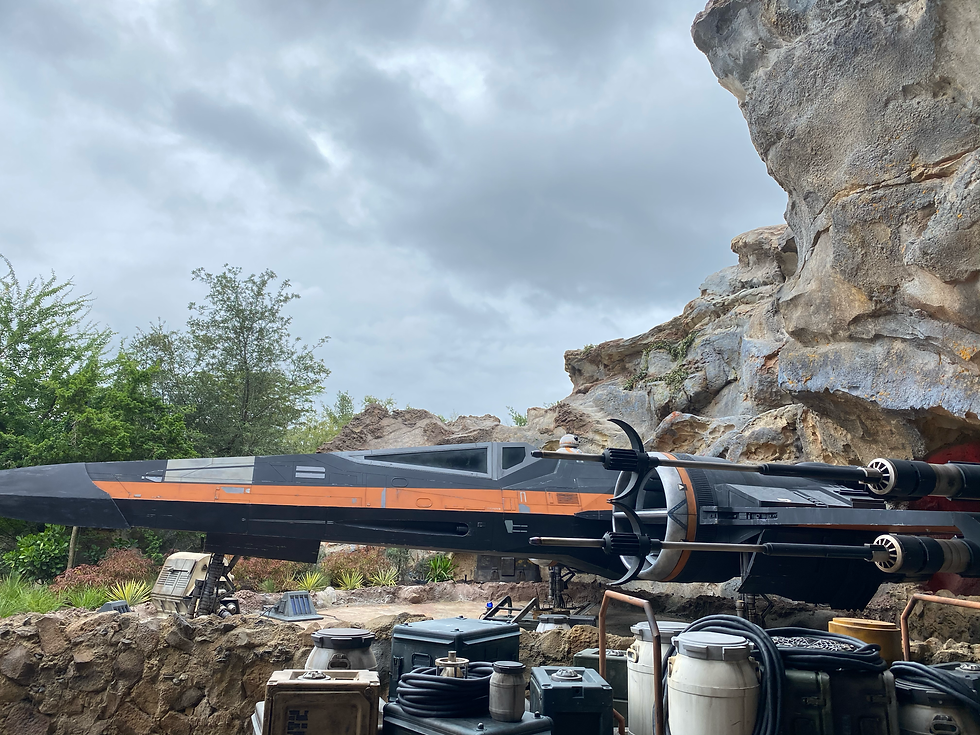 BB8 at Rise of the Resistance