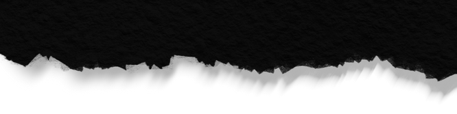 Untitled design (9).png