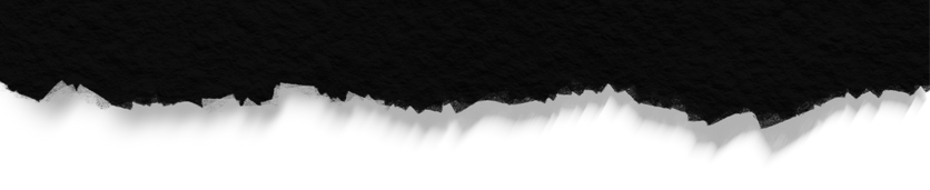 Untitled design (9).png