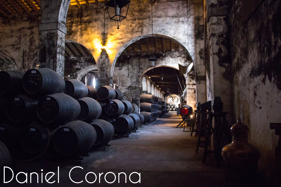 Wine Storage