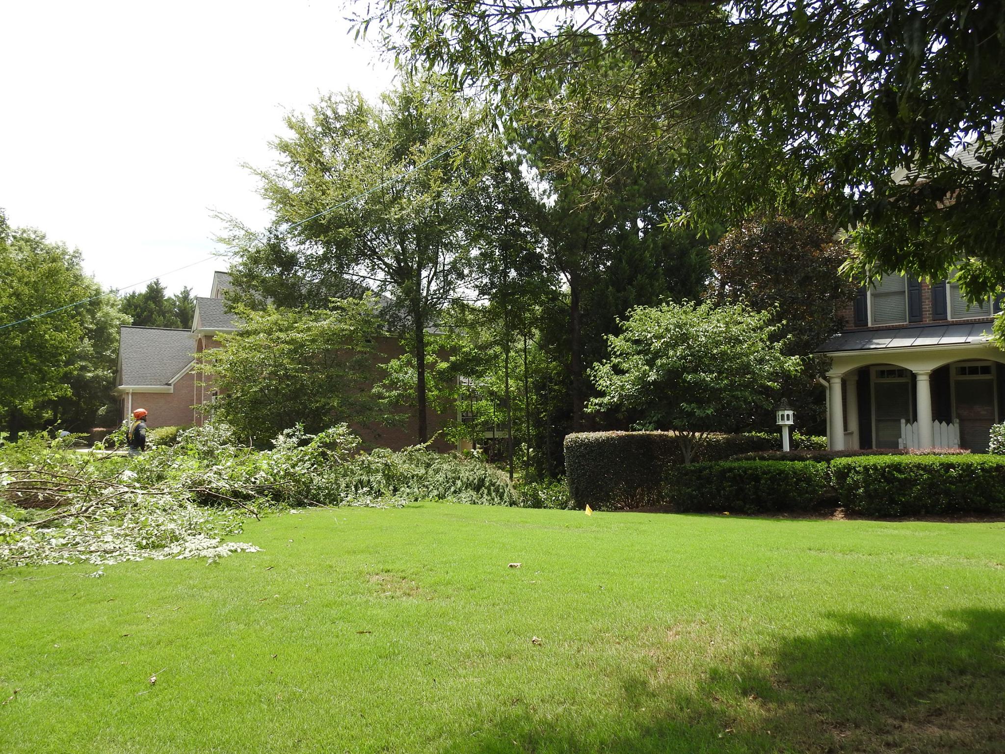 770-BAM-TREE, INC.