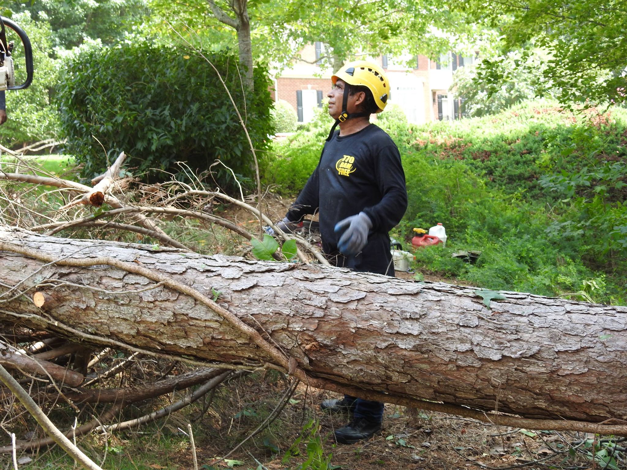 770-BAM-TREE, INC.