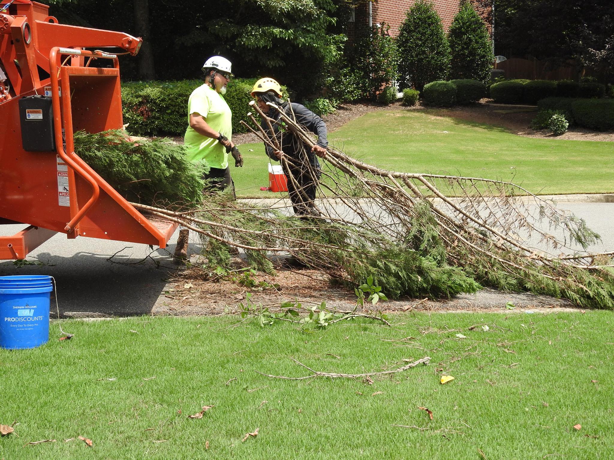 770-BAM-TREE, INC.