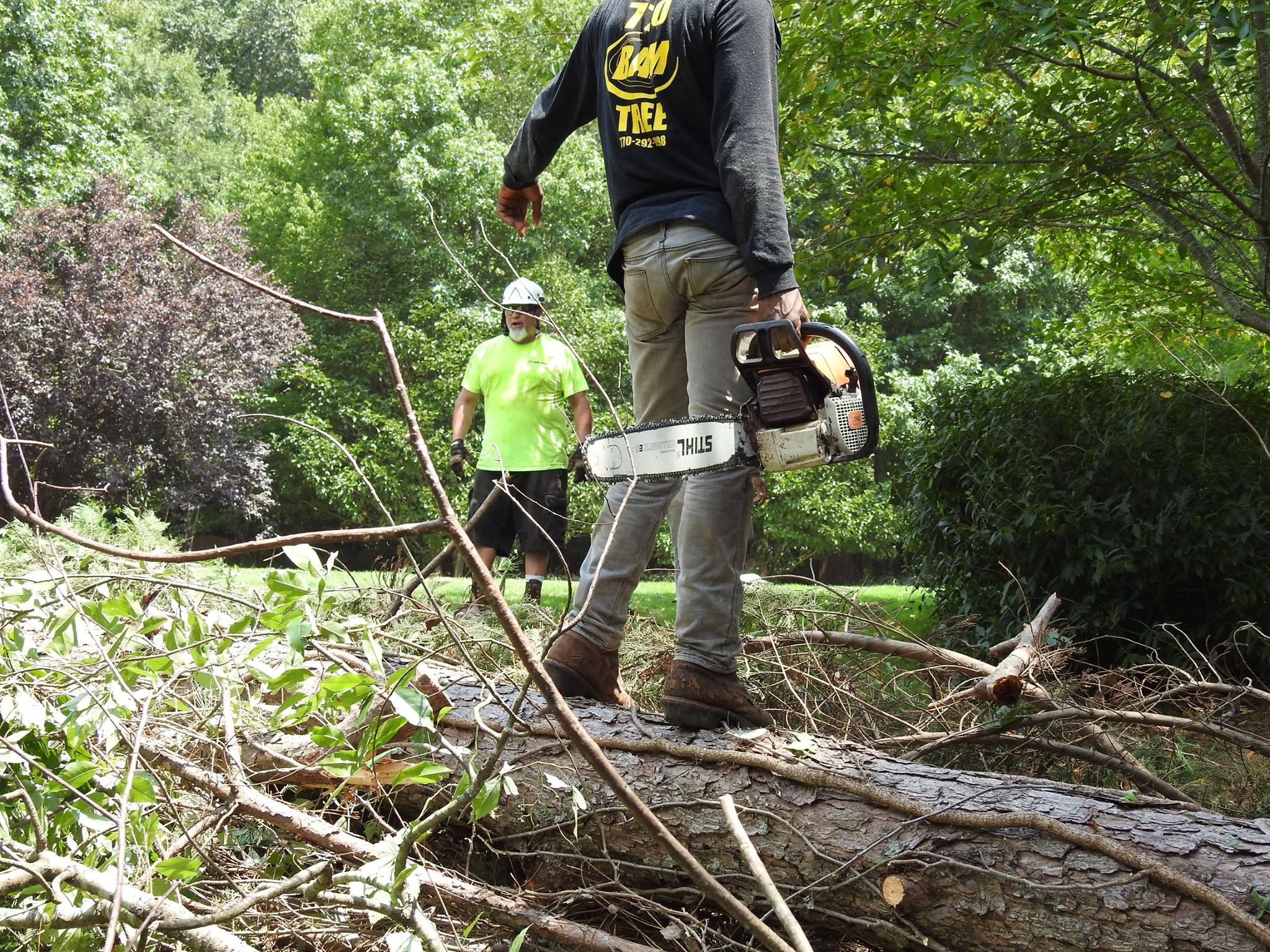 770-BAM-TREE, INC.