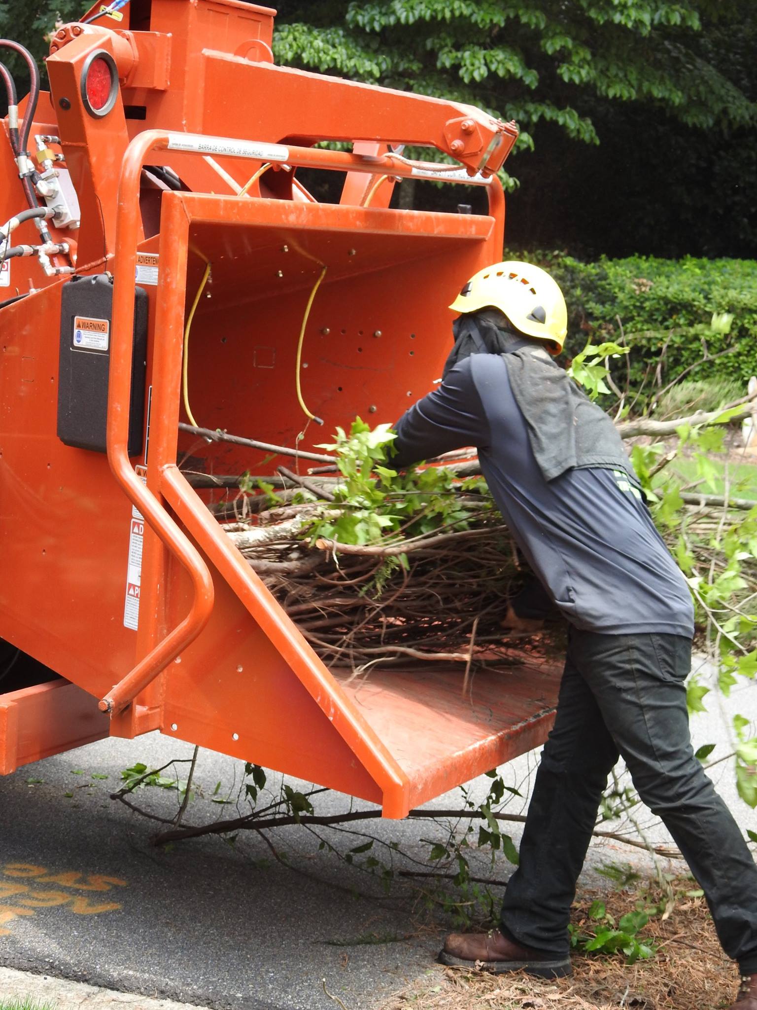 770-BAM-TREE, INC.