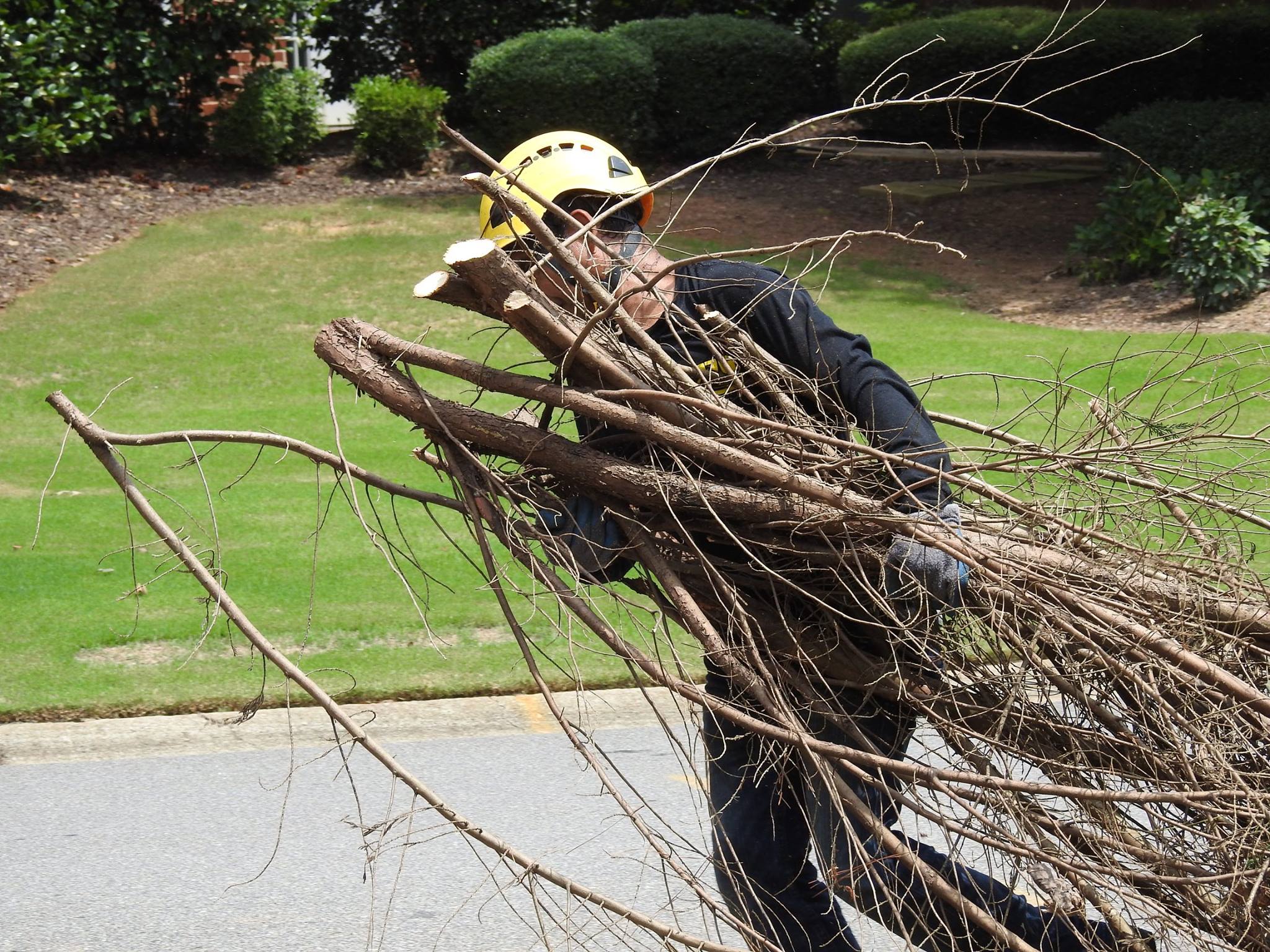 770-BAM-TREE, INC.