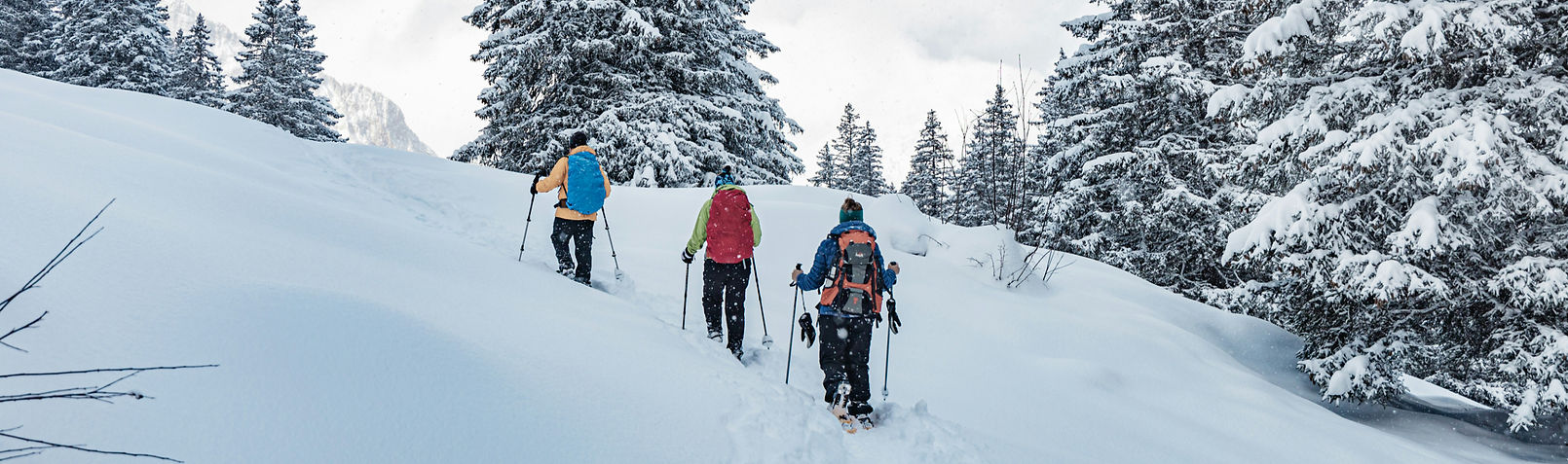 a group of people riding skis down a snow covered slope_edited.jpg