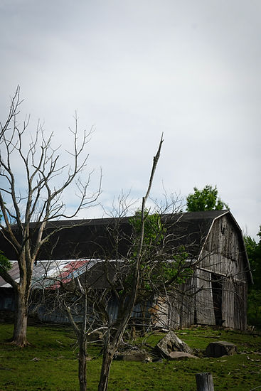 03FF0022-6533-4F07-B62F-A28F6816B542.jpe