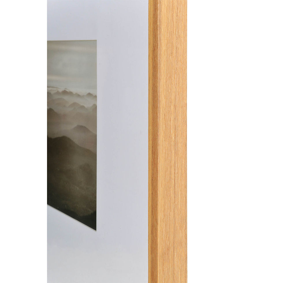 Miniature : Torreys