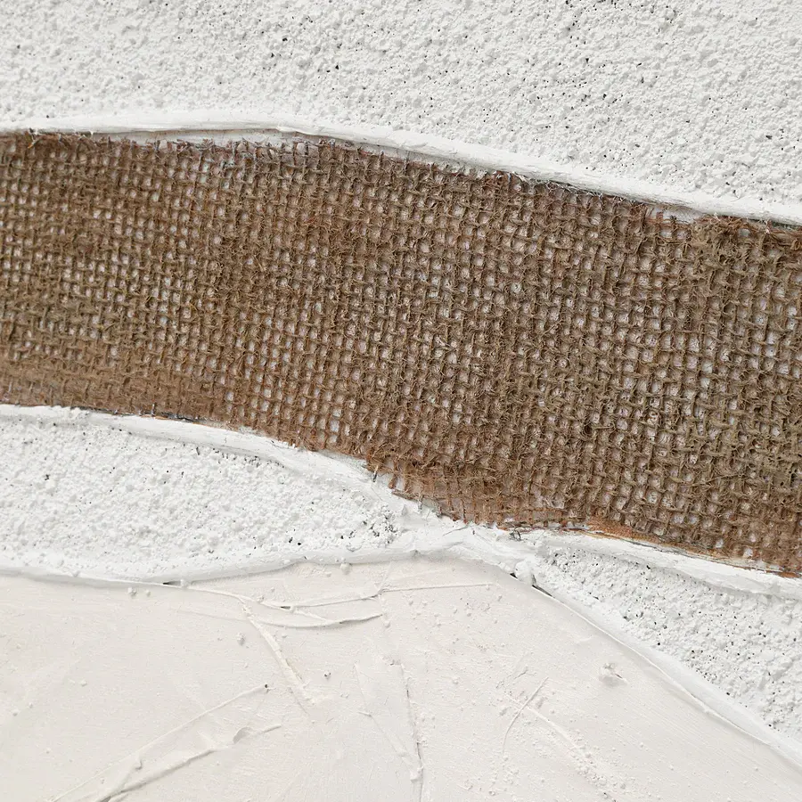 Miniature : Muralis